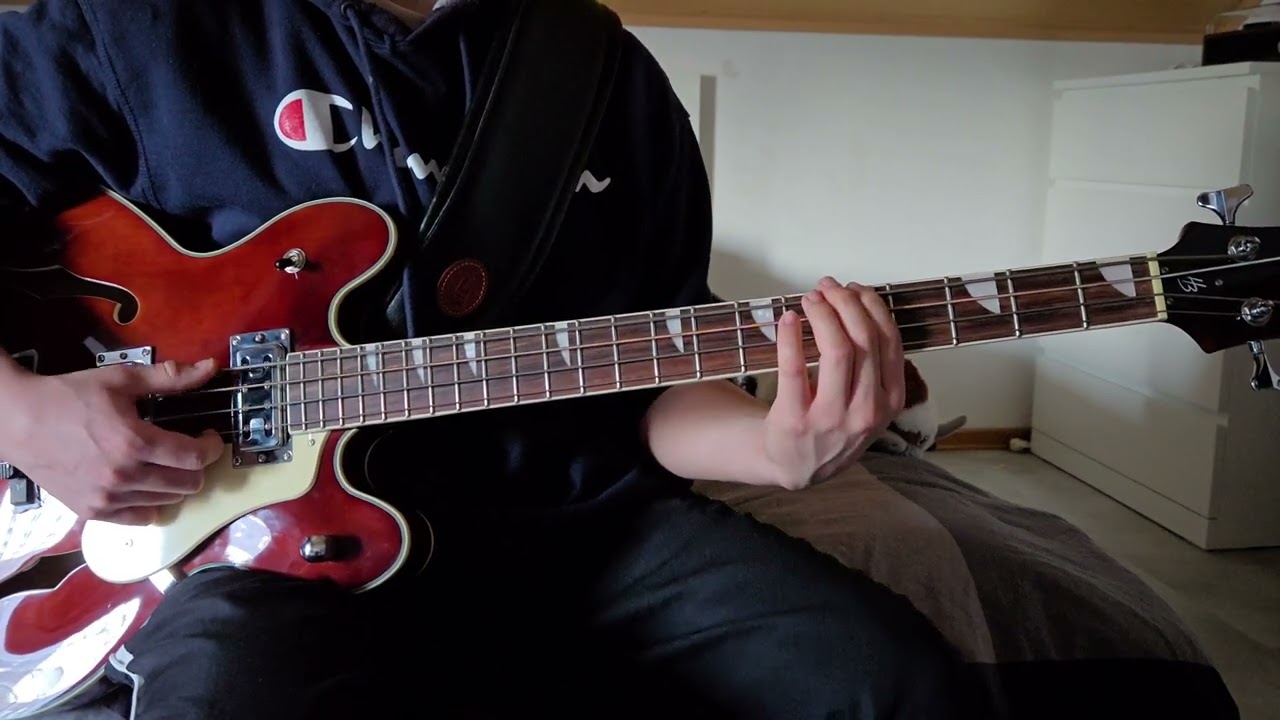 Beabadoobee - You’re here that’s the thing (bass cover)