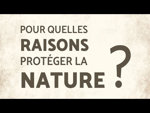 Vidéo: Pourquoi Protéger La Nature