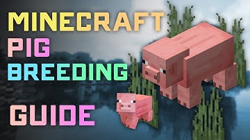 How to Breed Pigs in Minecraft (Easy Step-by-Step Tutorial!)