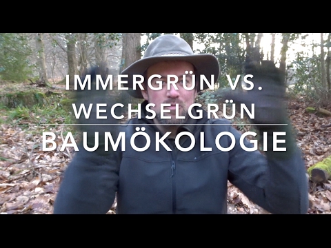 wechselgrüne--und-immergrüne-baumarten-(ben-vortrag)