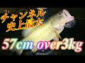 南湖で捕獲。チャンネル最大サイズ更新！！【バス釣り 琵琶湖 夜釣り】