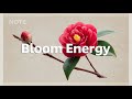Bloom Energy | Chill House for a Positive Morning Vibe