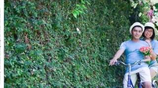 Weeding Album Be Ngoc