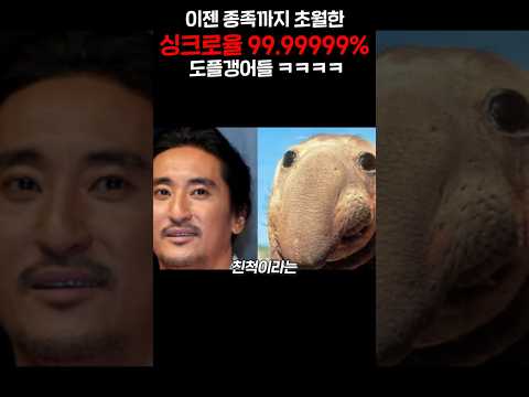 이젠 종족까지 초월한 <strong>싱크로율</strong> 99.999% 도플갱어들 ㅋㅋㅋㅋㅋㅋㅋㅋㅋㅋㅋ