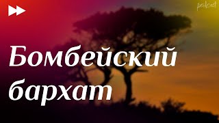 podcast | Бомбейский бархат (2015) - #рекомендую смотреть, онлайн обзор фильма