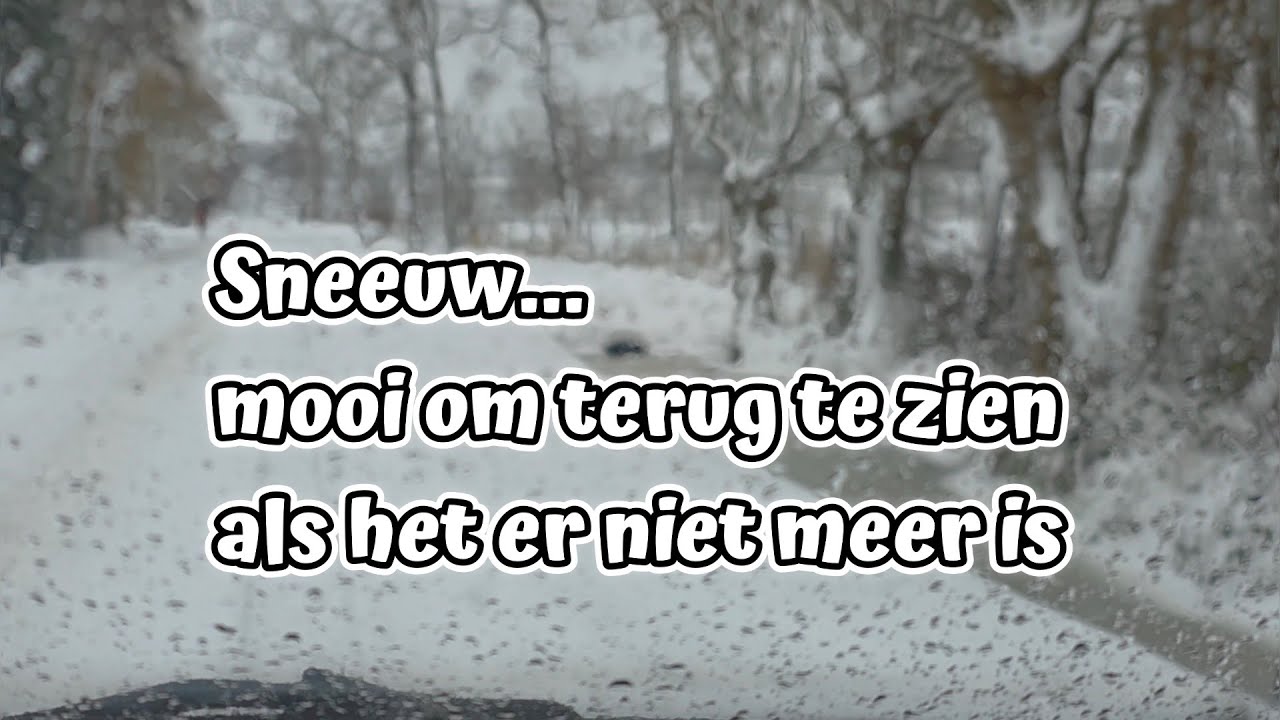 Sneeuw... mooi om terug te zien als het er niet meer is - @BennekominBeeld -