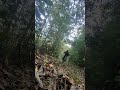 Trail day #mtb