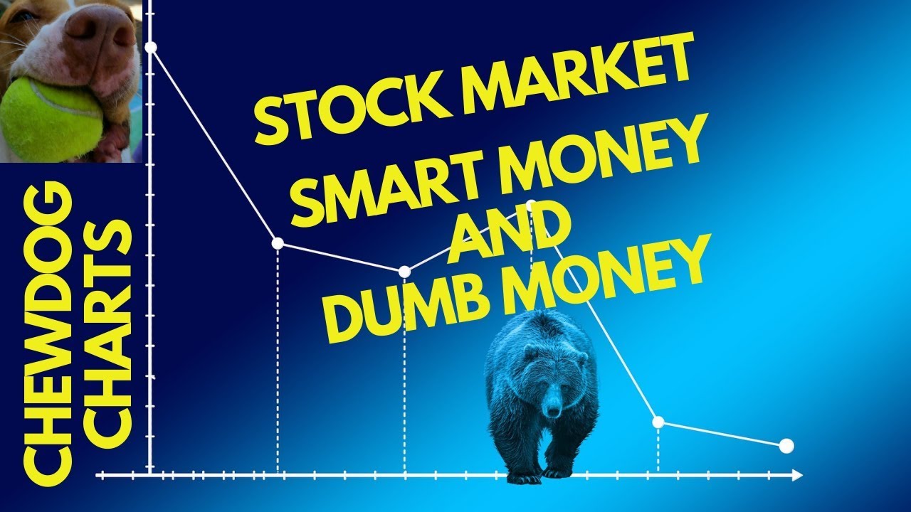 Smart Money And Dumb Money In The Stock Market
