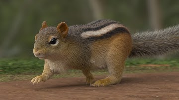 Houdini Fur Lookdev | Render 04