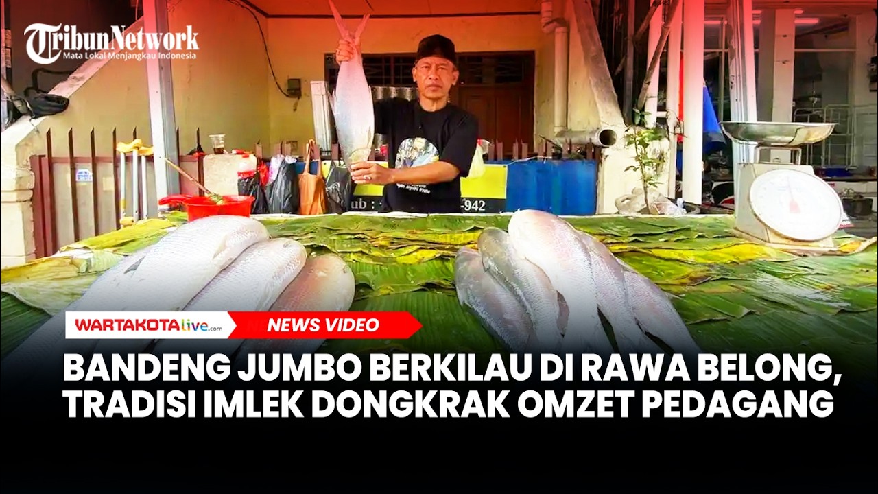 Bandeng Jumbo Berkilau di Rawa Belong, Tradisi Imlek Dongkrak Omzet Pedagang