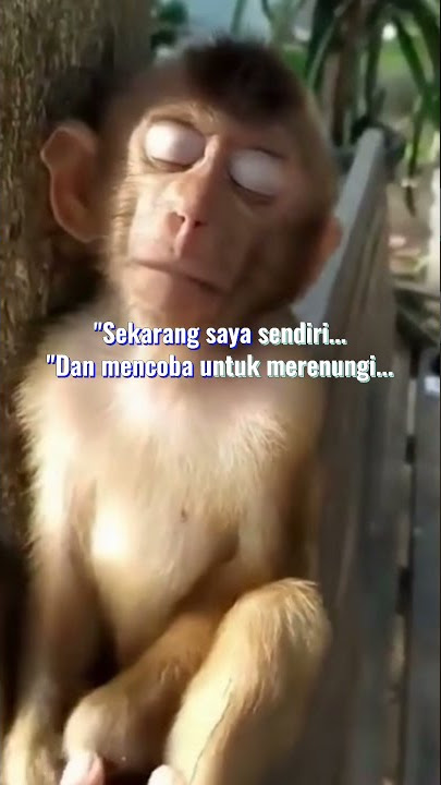 #SHORT | STORY WA 30 DETIK SEDIH'😂