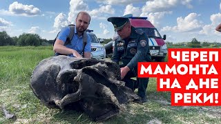 В реке нашли ЧЕРЕП МАМОНТА! Неожиданная находка белорусских спасателей
