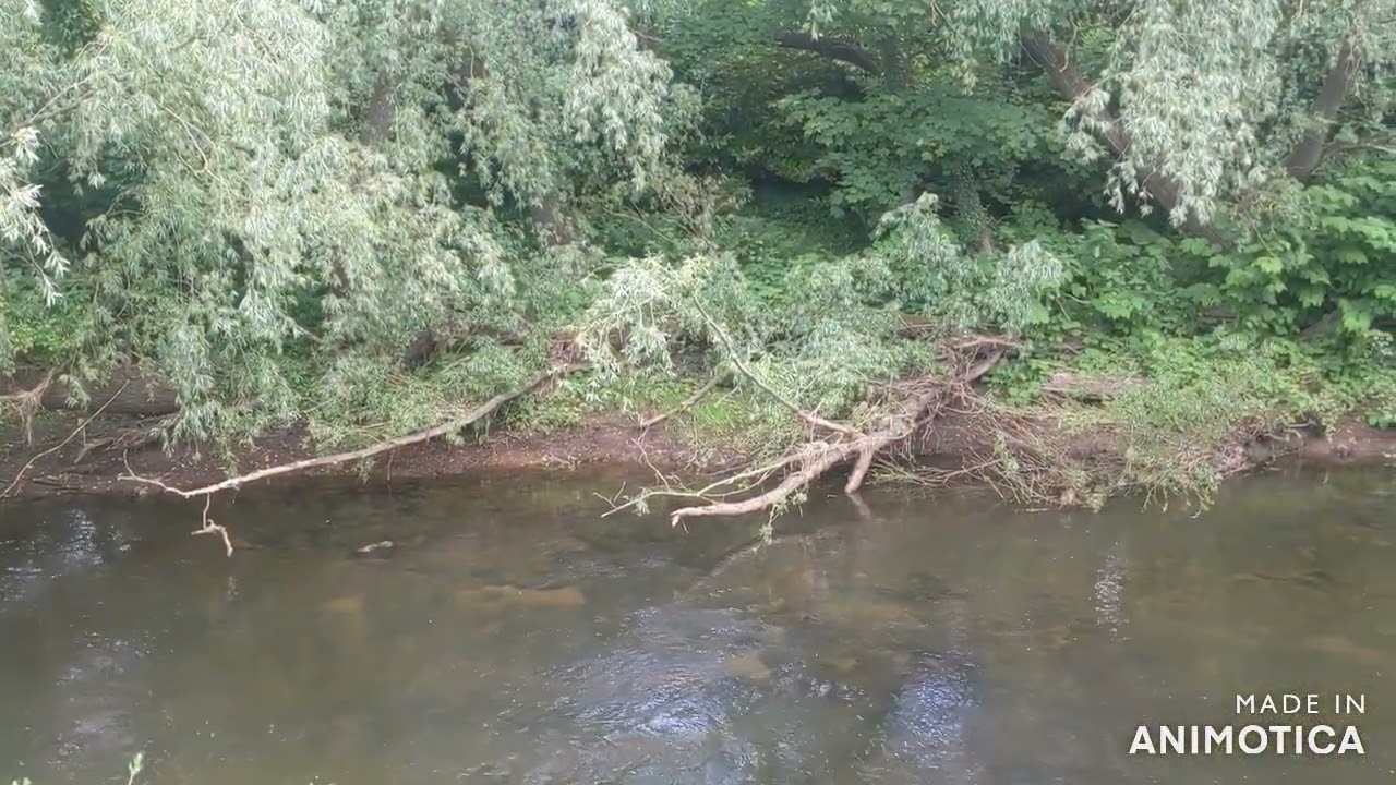 Walk along the River Tyne at East Linton