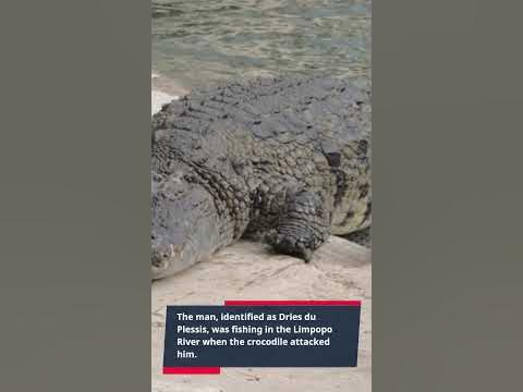 Nile Crocodile Attacks Fisherman! - YouTube