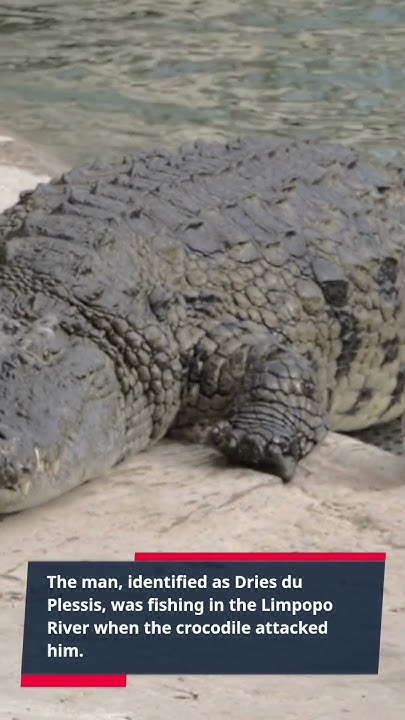 Nile Crocodile Attacks Fisherman! - YouTube