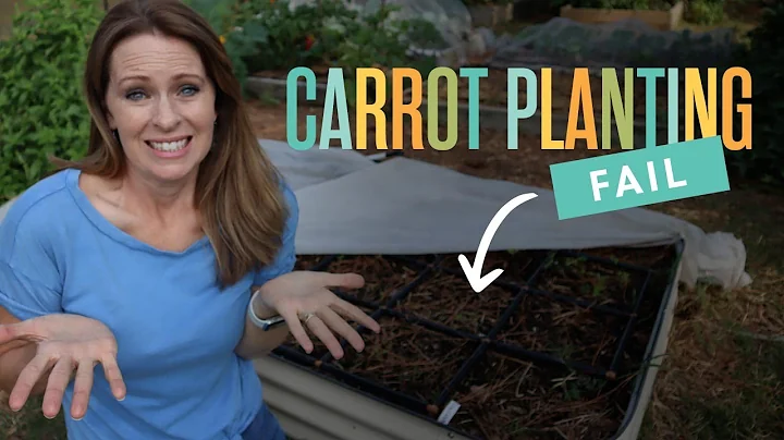 Why Carrot Seeds Don&#039;t Sprout