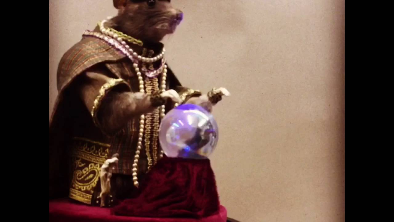 Taxidermy automaton Zoltar Fortune Teller YouTube