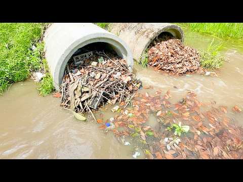 Giant Culvert Clog Removed in Time—Water Flow Returns!