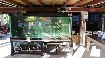 Samphan ชัยนาท - ระบบ Overflow Full Services Set 2