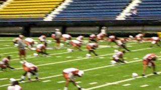 Cardinals training Camp August 02, 2010 stretching