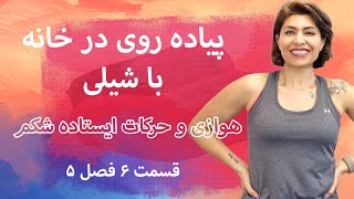 Walk at Home in Farsi 5-6  پیاده روی در خانه با شیلی ورزش هوازی و حرکات ایستاده شکم و پهلو ۶-۵