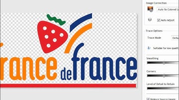 Introduction to the Vectorizer in VinylMaster