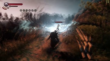 The Witcher 3 6 24 2018 12 51 33 PM