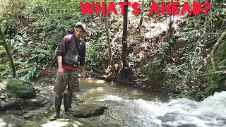 Hidden Waterfall Adventure Part 3 | What We Found Deep in the Forest