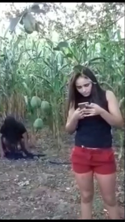 Comadre Fulozinha #folclorebrasileiro #folclore #caipora #lendas #comadrefulozinha #lenda