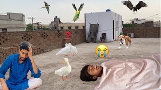 Saad ke sath prank ho gya || prank goneworng😢|| sam pet vlogs