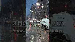 Snow in March in Tokyo at Dawn @VSV_Japan #travel #japan