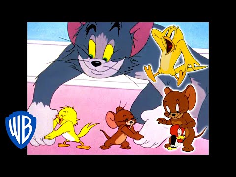 Tom & Jerry | Bird Attack! | Classic Cartoon Compilation | WB Kids