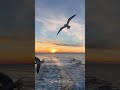 En Tus Manos, Mi Confianza"-musica de adoracion- musica cristiana-alabanzas-hermoso momento