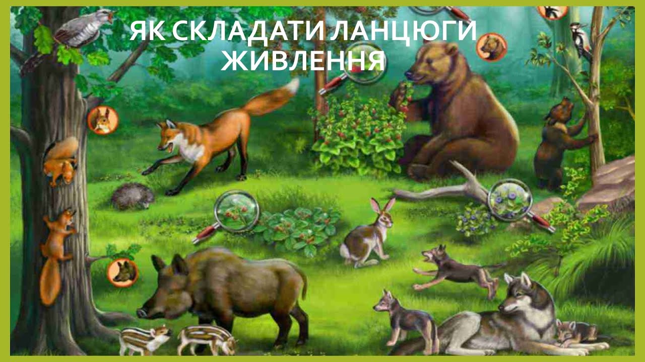 Пізнаємо природу 6 кл №49