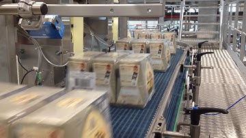 Print and Apply Label Applicator - Automatically applying a label to a case on a conveyor.