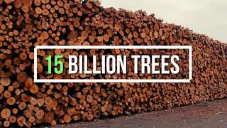 World's most Sustainable Bamboo T-shirt | 1 T-shirt sold = 1 tree planted | English