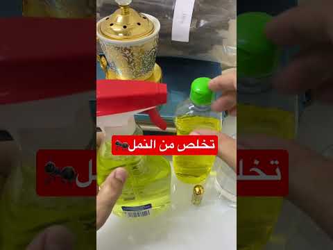 فيديو: هل الضباب يقتل النمل الأبيض؟