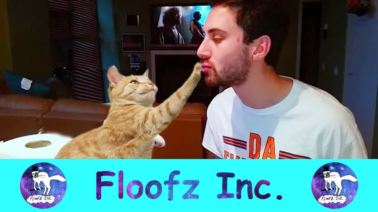CATS HATE SINGING! YouTube