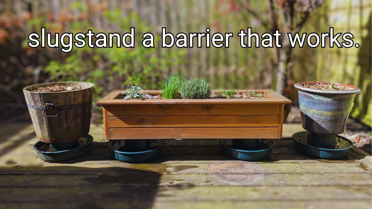 Slug Guard Slugstand - A Potted Plant barrier, an obviously simple solution. Ep 1/ ...