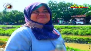DI SAWANI - VOC. MIMI INIH - PUTRA SURTI MUDA - JUMAT 20 DESEMBER 2019 - TULANG KACANG