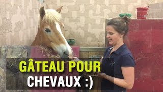 Gateau Pour Chevaux Preparation Facile Et Rapide Youtube