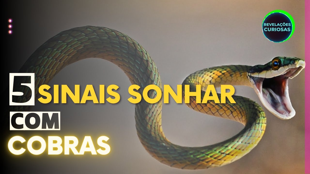 Significado Quando Sonha Com Cobra