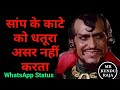 Saap ke kaate ko DHATURA Asar Nhi Krta - WhatsApp status video - Amrish Puri Dialogue