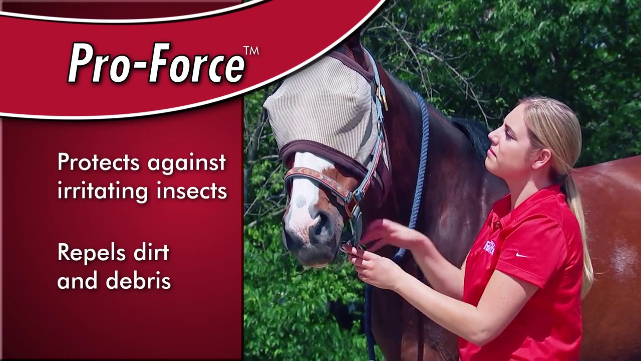 Force Fly Masks for Horses!
