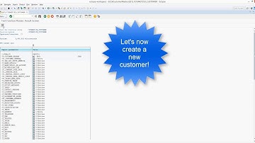 SAP Customer Master Accelerator - Video 1