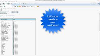 SAP Customer Master Accelerator - Video 1