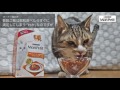 ピュリナ「モンプチ」準オフィシャルキャット　わかくん　新しい「モンプチ　ドライ」をお試し！