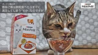 ピュリナ「モンプチ」準オフィシャルキャット　わかくん　新しい「モンプチ　ドライ」をお試し！