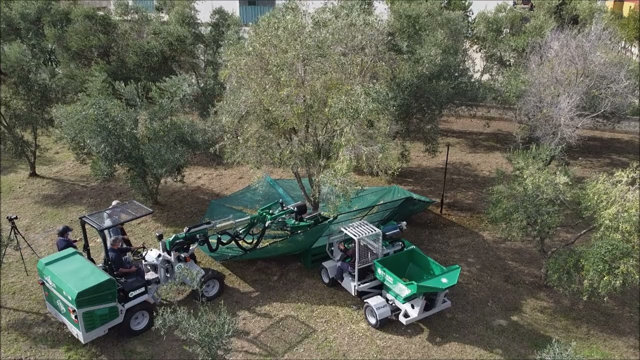 DE MASI Ombrello Semovente con Defogliatore OS4WD