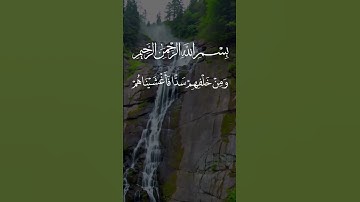تلاوة خاشعة ومؤثرة بصوت جذاب ومميز ومفيد للجميع #القرآن_الكريم #تلاوة_خاشعة #تلاوة_مؤثرة #اكسبلور